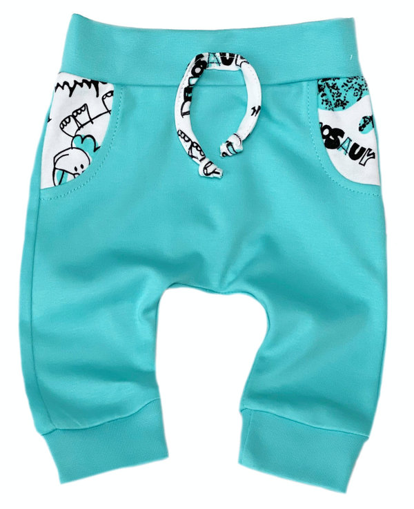 Baby Jungen Set: Langarm Shirt, Hose und Mütze "Dino"