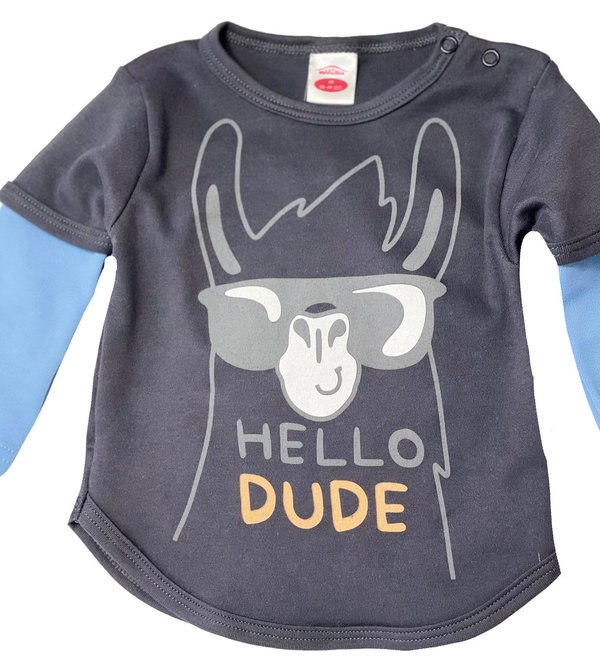 Baby Jungen Langarm Shirt "Hello Dude"