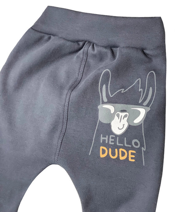 Baby Jungen Set: Shirt und Sweathose "Hello Dude"