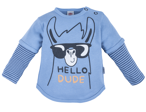 Baby Jungen Langarm Shirt "Hello Dude"
