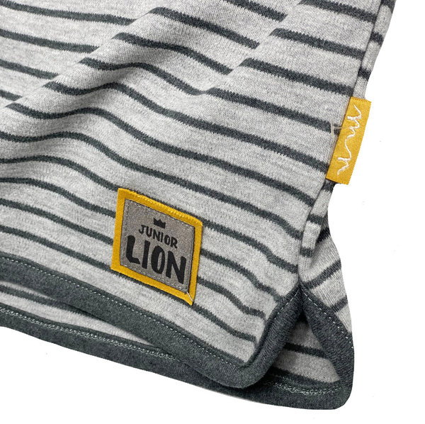 Baby Jungen Set: Langarm Polo - Shirt und Hose "Lion"